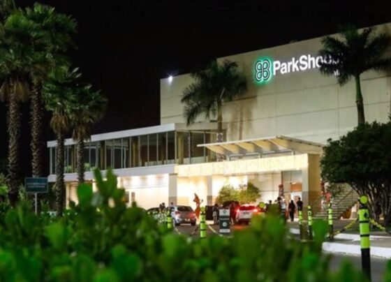 parkshopping-compressed