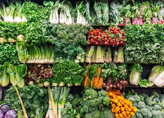 Prateleira de supermercado com folhas e legumes expostos - vegetais - hortaliças - vida saudável - pressão alta