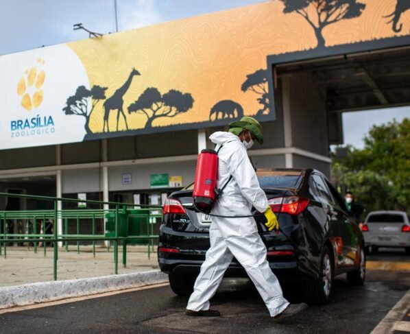 zoologico de brasilia gripe aviaria