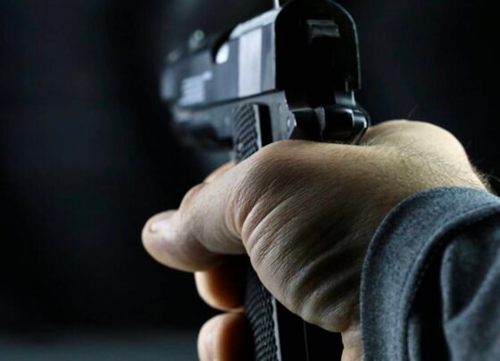 Imagem colorida de uma mão de uma pessoa branca segurando uma pistola