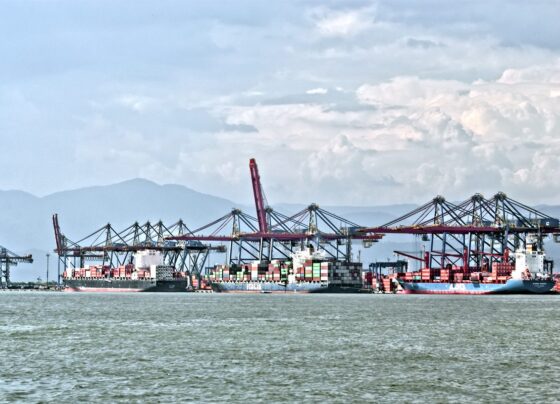 Imagem colorida do Porto de Santos, em São Paulo - Metrópoles