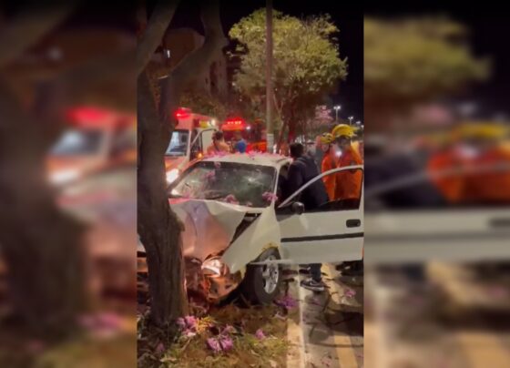 Foto colorida de acidente de carro contra um árvore no Guará
