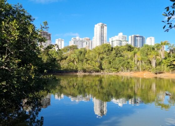 unidade de conservação