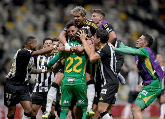 Galo classificado