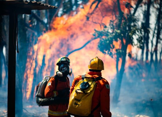 Imagem de bombeiros fardados e usando mangueiras para combater um incêndio na Floresta Nacional de Brasília