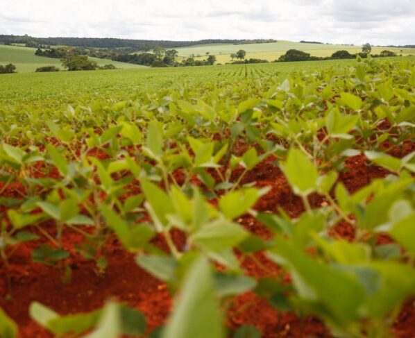Atividade agrícola no Brasil (agronegócio)