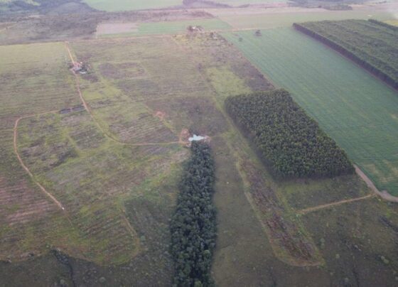 area ambiental formosa4