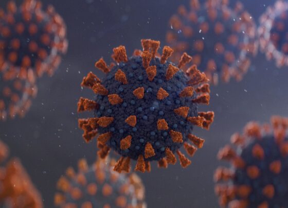deputada julia covid Imagem gerada por computador do Coronavirus COVID-19.