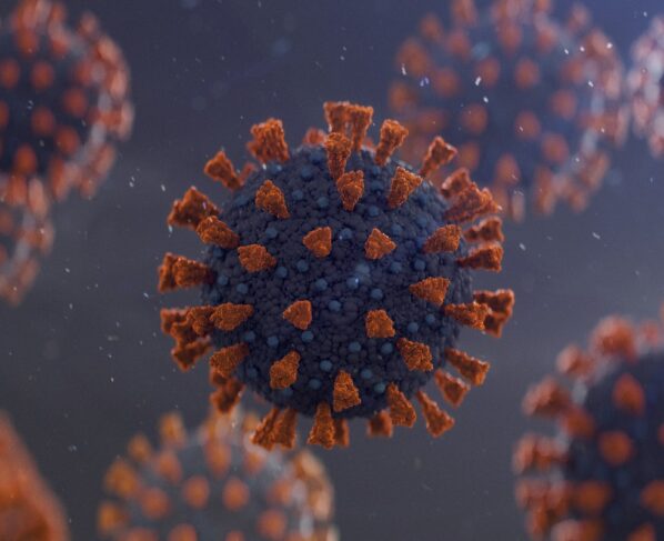 deputada julia covid Imagem gerada por computador do Coronavirus COVID-19.