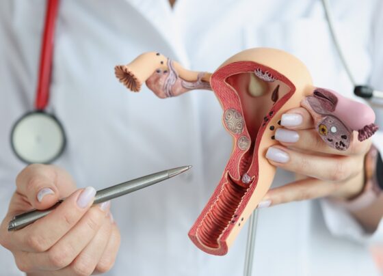 Foto de médica mostrando vulva - ninfoplastia