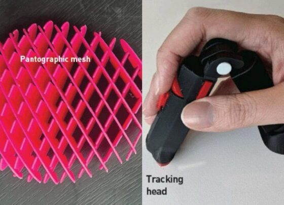 Foto colorida de mouses diferentes um rosa e outro preto - Metrópoles.