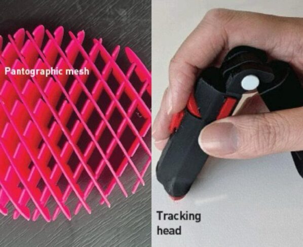 Foto colorida de mouses diferentes um rosa e outro preto - Metrópoles.