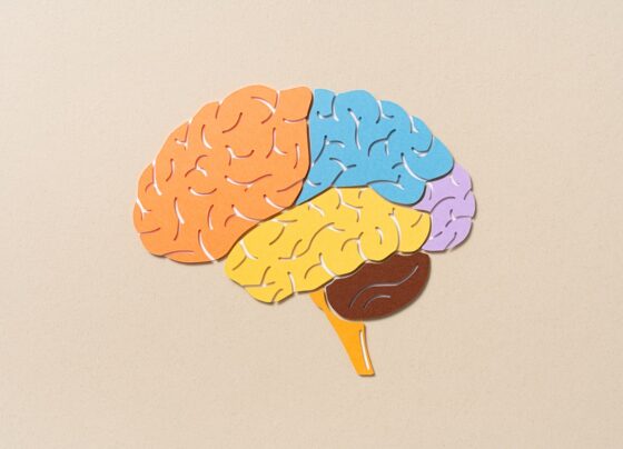 Foto de cérebro. Riscos, vídeos acelerados