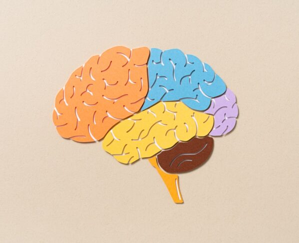 Foto de cérebro. Riscos, vídeos acelerados