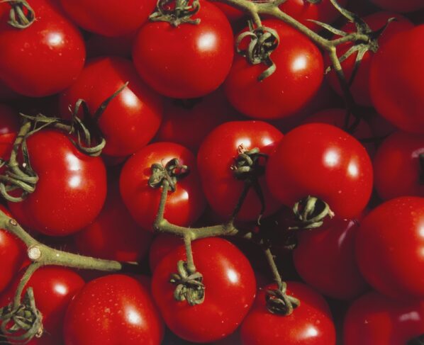 Foto de estoque de tomates maduros - Metrópoles