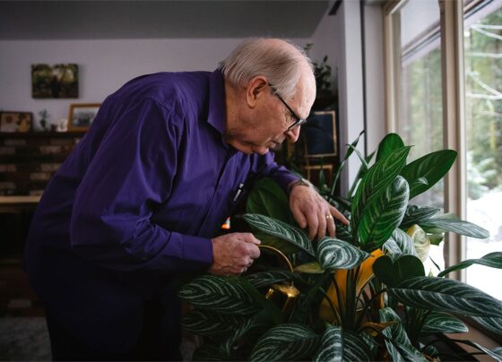 Imagem colorida mostra homem branco idoso de óculos com cabelos mais ralos regando as plantas - Metrópoles