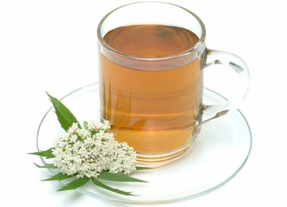 chá de valeriana