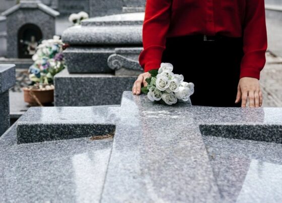 WhatsApp Image 2025-12-28 at 09.25.36