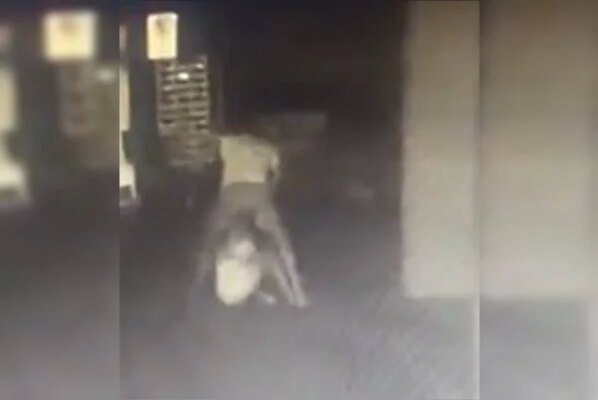 Homem é preso por espancar mulher em elevador; ela caiu do 10º andar - destaque galeria