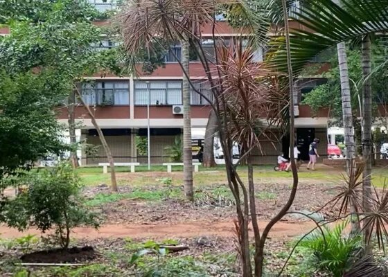 Veja momento da prisão do suspeito de estupro na Asa Norte - destaque galeria