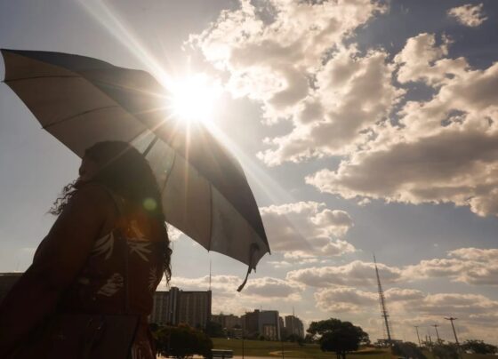 Calor em SP
