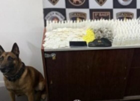 Blitz flagra Peugeot com remédios ilegais, anabolizantes e iPhones