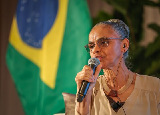 Imagem colorida da ministra do Meio Ambiente, Marina Silva - Metrópoles