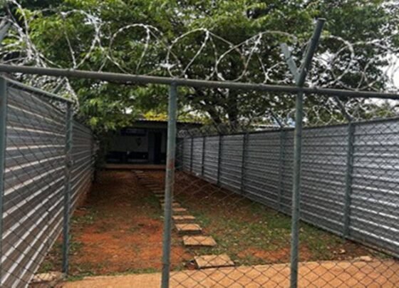 cela-papudinha-5-compressed