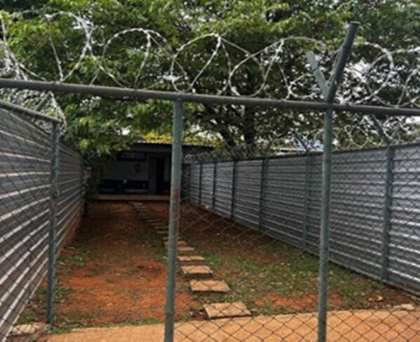 cela-papudinha-5-compressed