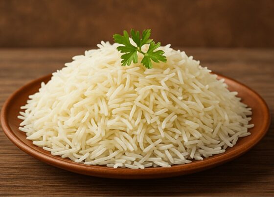 Foto colorida de prato de arroz - Metrópoles