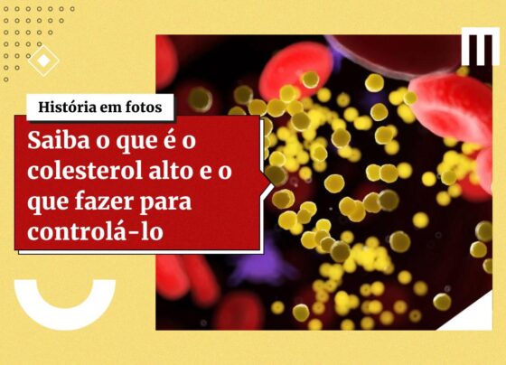 Especialistas indicam 7 melhores alimentos para reduzir o colesterol - destaque galeria