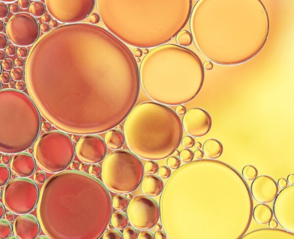 Foto colorida de células de gordura - Metrópoles