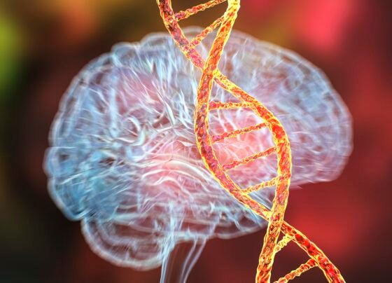 Doenças genéticas do cérebro, ilustração conceitual por computador. Mutações no DNA que levam a doenças cerebrais. Neurogenética, doenças neurodegenerativas. Metrópoles