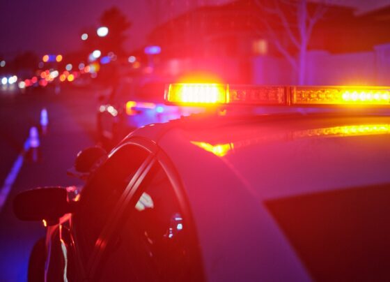 Foto genérica de sirene para matérias policiais