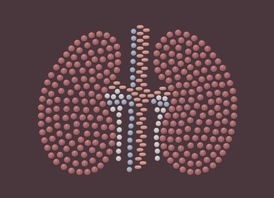 Pílulas em formato de rim humano. Metrópoles