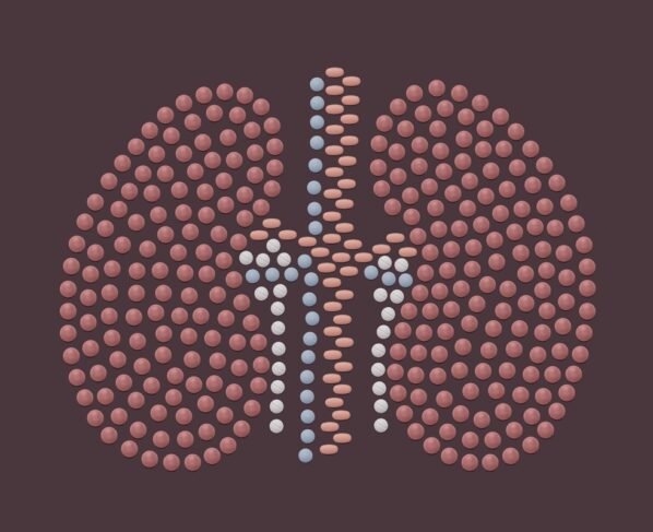 Pílulas em formato de rim humano. Metrópoles