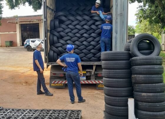 DF: Secretaria de Economia apreende cargas avaliadas em R$ 1,6 milhão - destaque galeria