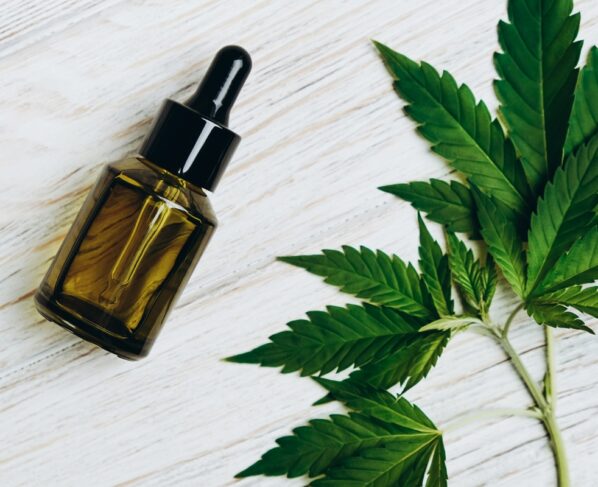 Foto em close-up de folhas verdes de cannabis e frasco de óleo CBD sobre uma superfície escura.