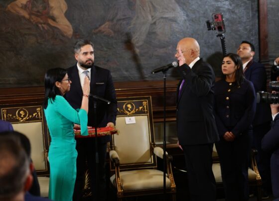 Delcy Rodríguez (4)