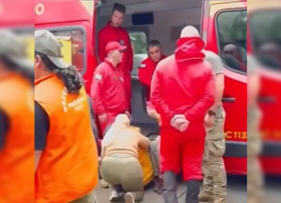 Roberto Farias Thomaz