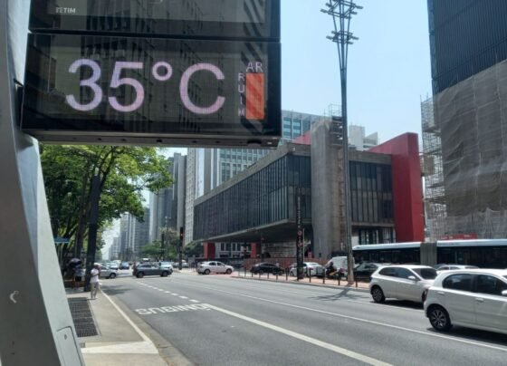 Calorão e tempo seco: veja a previsão do tempo para SP neste domingo - destaque galeria