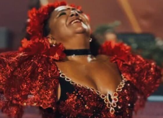 Babi Cruz fala sobre ausência de Arlindo na Sapucaí: “Vamos seguir” - destaque galeria