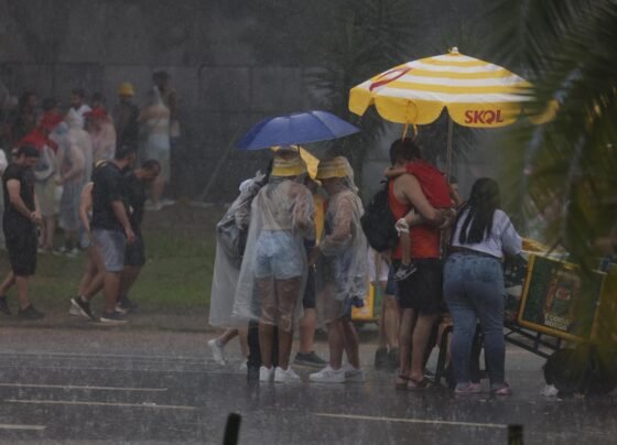 Chuva forte atinge a concentração do bloco de Alceu Valença no Parque Ibirapuera, durante o pré-Carnaval de São Paulo.