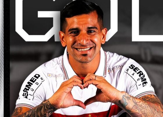 botafogo-sp-palmeiras-paulistao