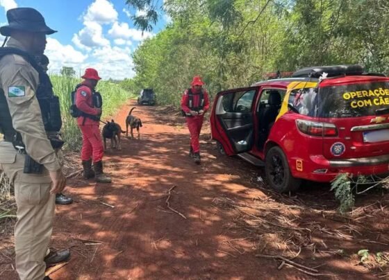 imagem colorida criança é encontrada morta apos sequestro no parana