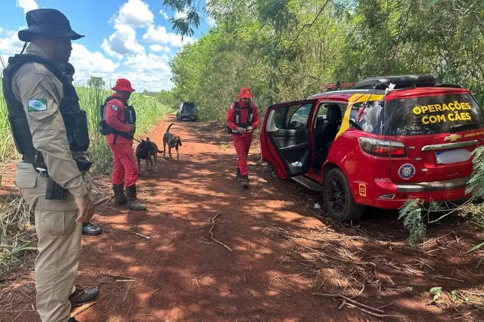 imagem colorida criança é encontrada morta apos sequestro no parana