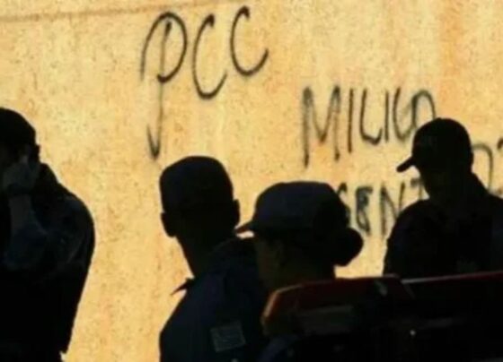 Imagem colorida mostra muro escrito PCC - Metrópoles