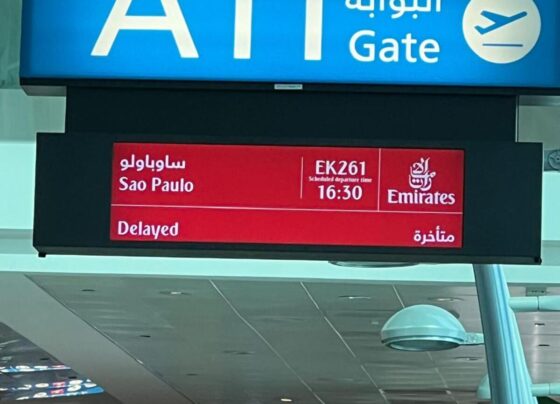 Brasileiros chegam ao Brasil sem malas após caos em aeroporto de Dubai 6 (1)