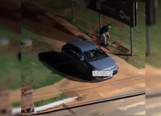 homem-roubando-grama