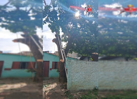 descarga-eletrica-sao-sebastiao